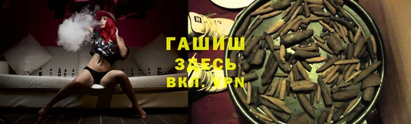 прущие грибы Абаза