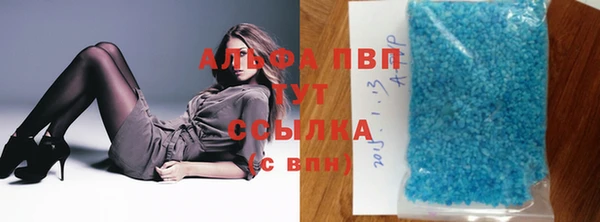 прущие грибы Абаза