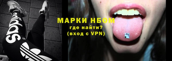 прущие грибы Абаза